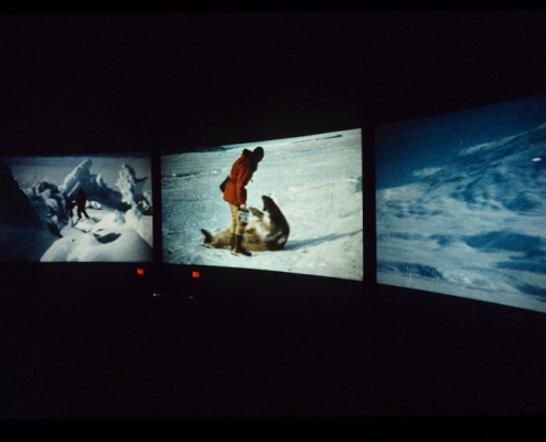 Polar Life screening